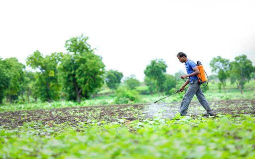 Deepak Fertilisers Soars 52% in Six Days. Stock Hits 52-Week High