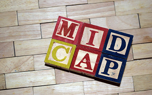 Best Performing Mid-cap Stocks of 2022. And the Secret Behind their Big Gains