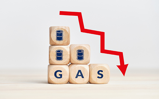 Why Mahanagar Gas Share Price is Falling