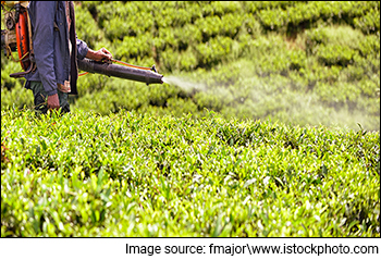 Why Rallis India Share Price is Falling