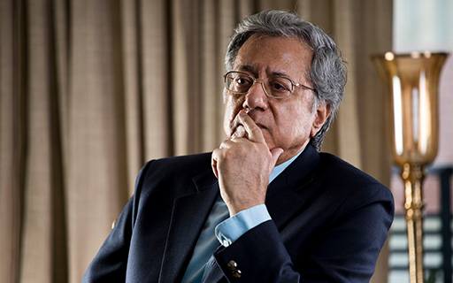 Why HEG Share Price is Falling