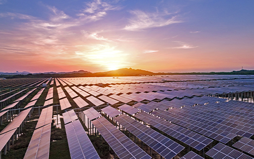 India's Solar Panel Manufacturing Boom is Here. 4 Stocks for Your Watchlist