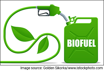 Multibagger Biofuel Stock Hits All-Time High. Zooms 10% on Massive Biodiesel Tender