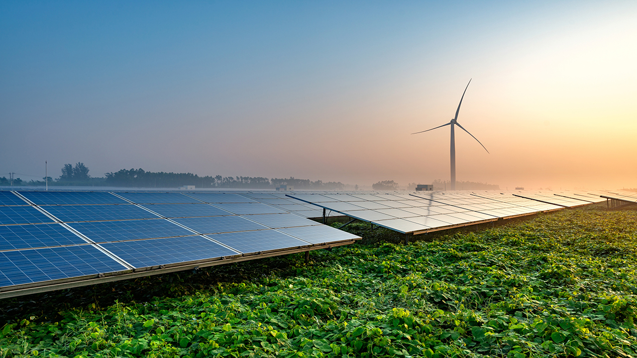 Best Solar Energy Stocks In India