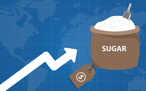 Why Renuka Sugars Share Price is Rising