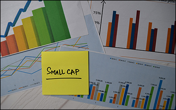 Top 3 Small Cap Funds in India