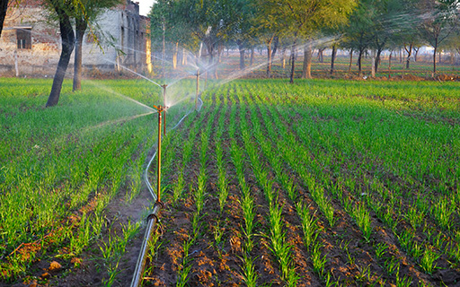 Jain irrigation share price discount