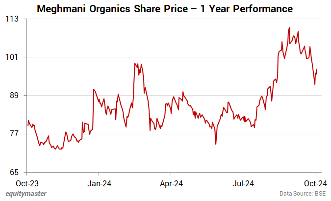 Meghmani Organics Share Price - 1 Year Performance