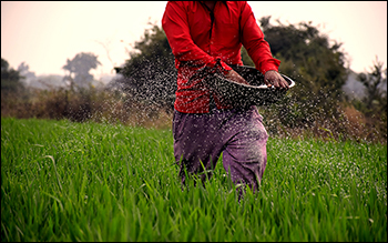 Mukul Agrawal Takes Fresh Position in Smallcap Fertilizer Stock