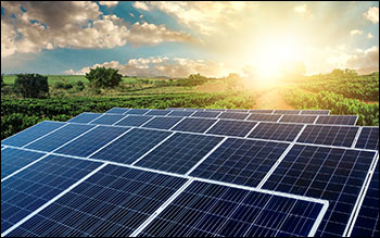 Why Borosil Renewables Share Price is Rising