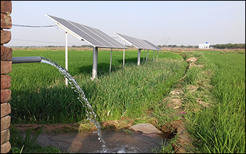 Shakti Pumps: Is a Potential Demerger on the Cards?