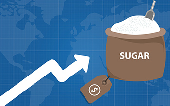 Why Shree Renuka Sugars Share Price is Rising