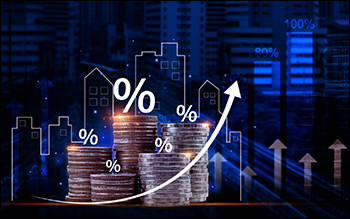 These Stock Market Sectors Dominated in 2024. Is There More Room to Run in 2025