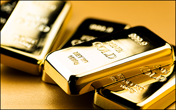 Pros and Cons of Investing in Rajesh Exports