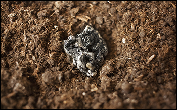 Rare Earth Magnet Crisis: How Chinas Export Curb Will Impact Indian Stocks