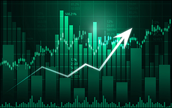 Best Performing Largecap Stocks of 2025