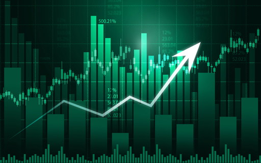 Best Performing Largecap Stocks of 2025