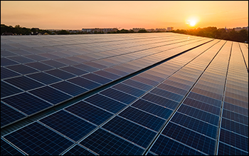 Best Solar Stocks in India 2026