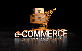 Why Brainbees Solutions' Share Price is Falling