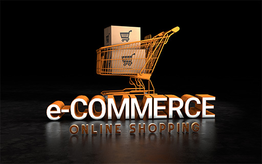 Why Brainbees Solutions' Share Price is Falling