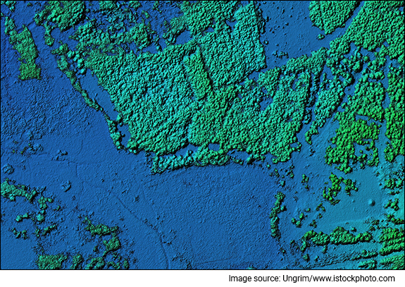 digital-elevation-model-of-a-forest-area