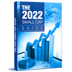 The 2022 Small cap Guide