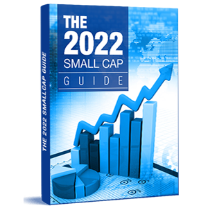 The 2022 Small Cap Guide